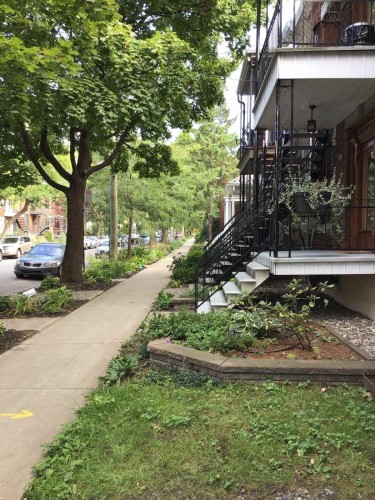 View - 1-6322 Av. Des Érables, Montréal (Rosemont/La Petite-Patrie), QC - Outdoor