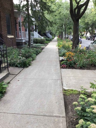 View - 1-6322 Av. Des Érables, Montréal (Rosemont/La Petite-Patrie), QC - Outdoor
