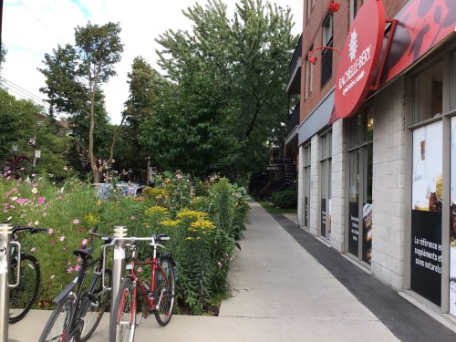 Street - 1-6322 Av. Des Érables, Montréal (Rosemont/La Petite-Patrie), QC - Outdoor