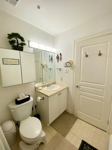 Master Bathroom - 107-945 Rue Muir, Montréal (Saint-Laurent), QC - Indoor Photo Showing Bathroom