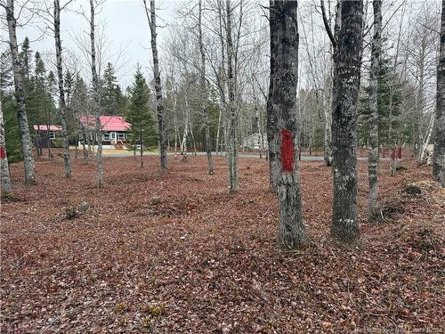 44 Springwater Lane, Second Falls, NB 