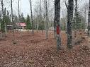 44 Springwater Lane, Second Falls, NB 