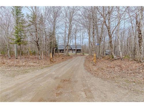 165 Mcdoo Rd, Springfield, NB 