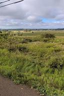 Lot Royal RD Memramcook, NB E4K 1X1