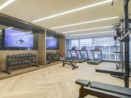Salle d'exercice - 4905-1288 Rue St-Antoine O., Montréal (Ville-Marie), QC - Indoor Photo Showing Gym Room