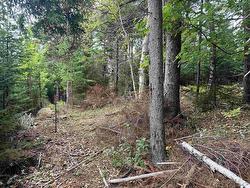 24-2 Forest Drive Extension Pictou, NS B0K 1H0