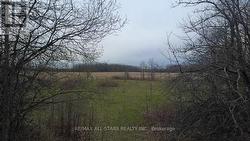 0 POST ROAD Kawartha Lakes (Ops), ON K0L 2X0