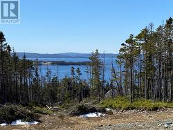 10-12 Marsh Road New Harbour, NL A0B 2P0