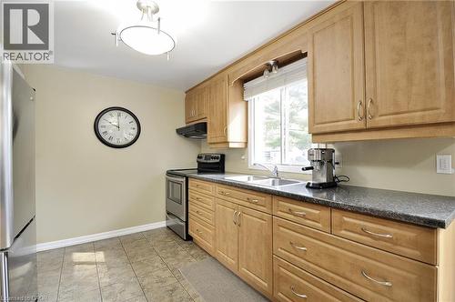 Kitchen featuring wood cabinetry, dark stone-finish countertops, and a double basin sink - 114 Bakersfield Drive, Cambridge, ON - Indoor Photo Showing Kitchen With Double Sink