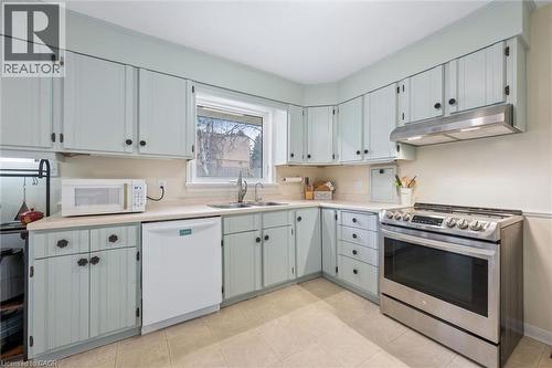 20 Katherine Crescent, Kitchener, ON - Indoor Photo Showing Kitchen With Double Sink