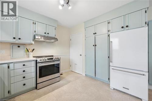 20 Katherine Crescent, Kitchener, ON - Indoor Photo Showing Kitchen