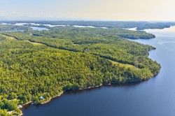 Rue des Pinsons Saguenay (Lac-Kénogami), QC G7X 0P3