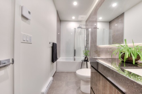 Salle de bains - Ph-3002-628 Rue St-Jacques, Montréal (Ville-Marie), QC 