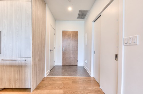 Hall d'entrée/Vestibule - Ph-3002-628 Rue St-Jacques, Montréal (Ville-Marie), QC 