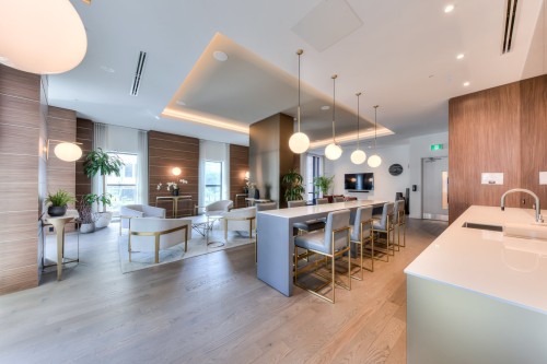 Salle communautaire - Ph-3002-628 Rue St-Jacques, Montréal (Ville-Marie), QC 