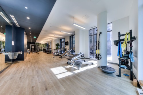 Salle d'exercice - Ph-3002-628 Rue St-Jacques, Montréal (Ville-Marie), QC 