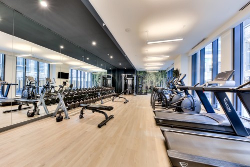 Salle d'exercice - Ph-3002-628 Rue St-Jacques, Montréal (Ville-Marie), QC 