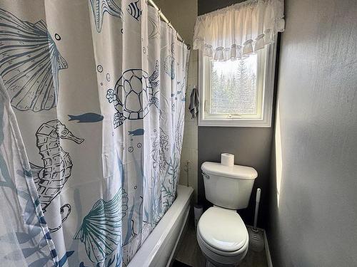 33 Radisson Crescent, Marathon, ON - Indoor Photo Showing Bathroom