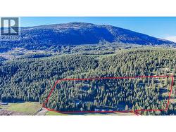 1771 Skimikin Road Tappen, BC V0E 2X0