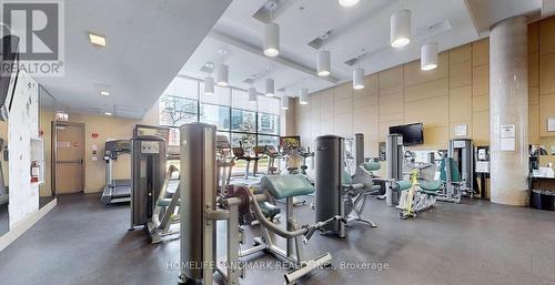 833 - 8 Telegram Mews, Toronto, ON - Indoor Photo Showing Gym Room