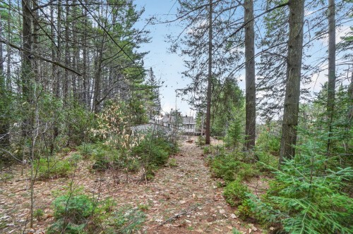 Boisé - 2580 Route 348, Rawdon, QC - Outdoor With View