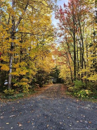 223 Ch Beaulieu Rd, Saint-François-De-Madawaska, NB 