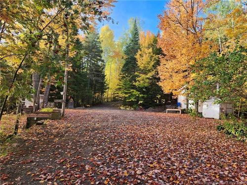 223 Ch Beaulieu Rd, Saint-François-De-Madawaska, NB 
