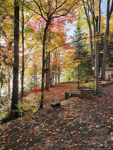 223 Ch Beaulieu Rd, Saint-François-De-Madawaska, NB 
