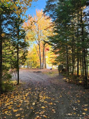 223 Ch Beaulieu Rd, Saint-François-De-Madawaska, NB 
