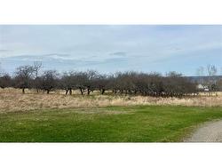 lot Route 105 Keswick Ridge, NB E3A 7L8