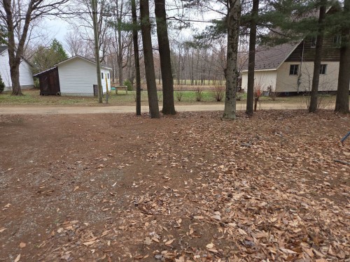 Cour - 40 Rue Des Cerisiers, Notre-Dame-Du-Mont-Carmel, QC - Outdoor
