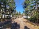 953 Mardigras Road, St. Alphonse, NS 