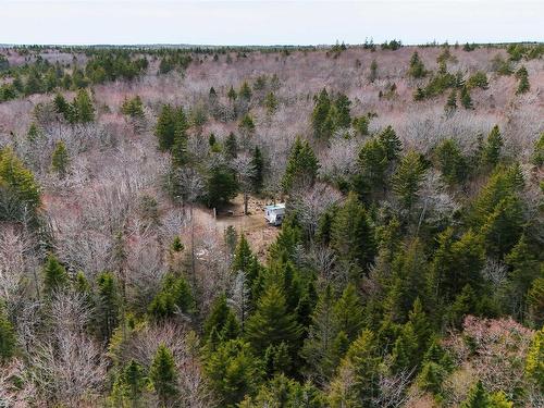 953 Mardigras Road, St. Alphonse, NS 