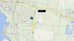 Lot - 