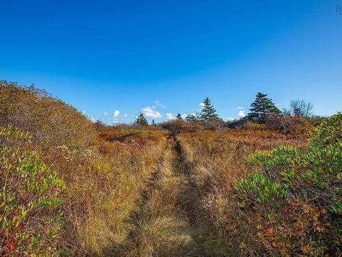 Lot 1A, Highway 1, Meteghan, NS 