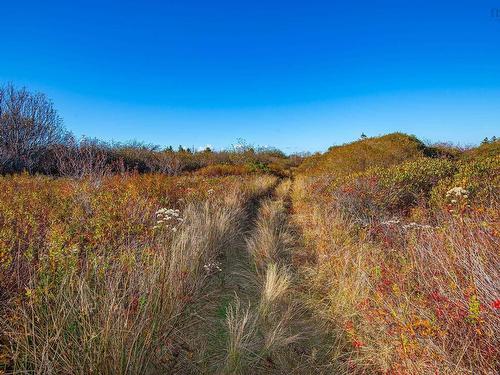Lot 1A, Highway 1, Meteghan, NS 