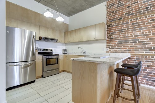 Cuisine - 303-64 Rue St-Paul O., Montréal (Ville-Marie), QC - Indoor Photo Showing Kitchen