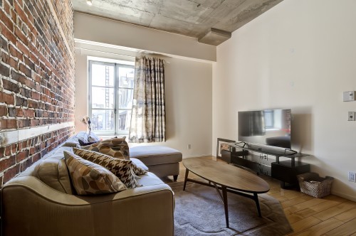 Salon - 303-64 Rue St-Paul O., Montréal (Ville-Marie), QC - Indoor Photo Showing Living Room