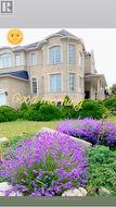 78 PIETA PLACE Vaughan, ON L4H 3G2