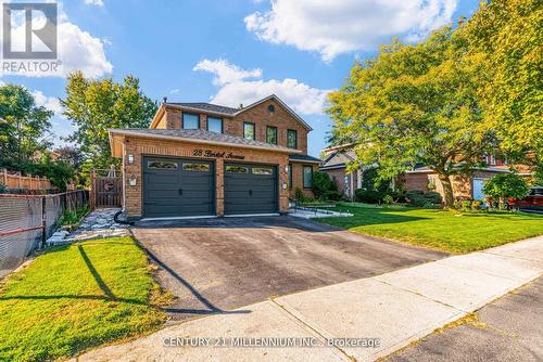 28 BRISTOL AVENUE  Brampton, ON L6X 2B3