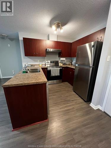3160 Wildwood Unit# 320, Windsor, ON - Indoor Photo Showing Kitchen With Double Sink