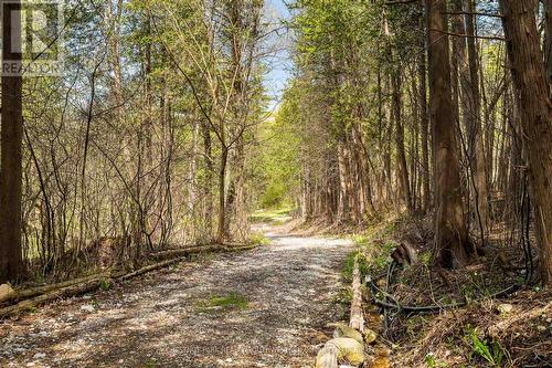 24 Grand Hill Drive, Kitchener, ON - Outdoor With View
