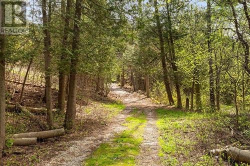 24 Grand Hill Drive, Kitchener, ON - Outdoor With View
