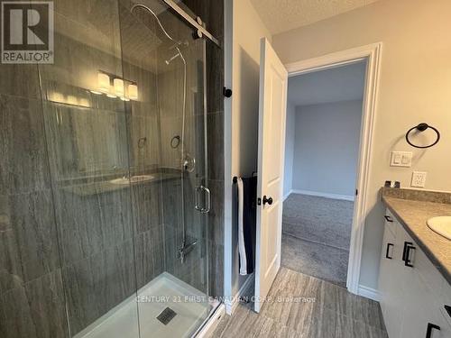 245 Wesley Boulevard, Cambridge, ON - Indoor Photo Showing Bathroom
