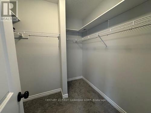 245 Wesley Boulevard, Cambridge, ON - Indoor With Storage