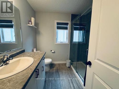 245 Wesley Boulevard, Cambridge, ON - Indoor Photo Showing Bathroom