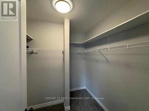 245 Wesley Boulevard, Cambridge, ON - Indoor With Storage