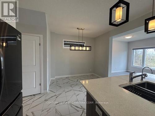 245 Wesley Boulevard, Cambridge, ON - Indoor Photo Showing Kitchen With Double Sink