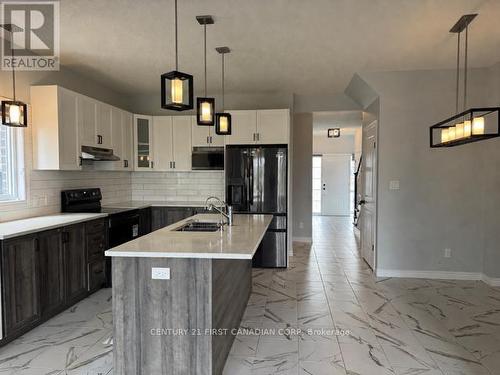 245 Wesley Boulevard, Cambridge, ON - Indoor Photo Showing Kitchen With Double Sink With Upgraded Kitchen