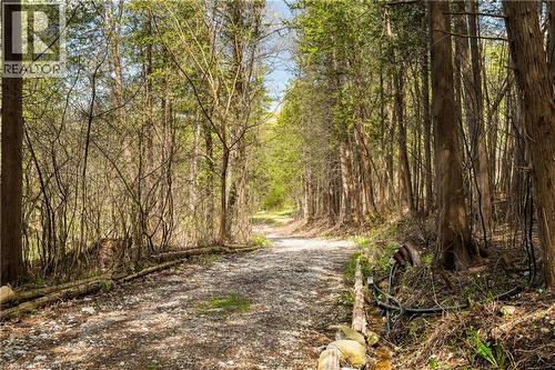 24 Grand Hill Drive, Kitchener, ON - Outdoor With View